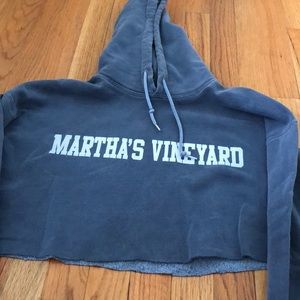 purple martha’s vineyard cropped hoodie